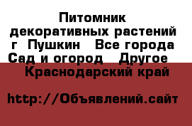 Питомник декоративных растений г. Пушкин - Все города Сад и огород » Другое   . Краснодарский край